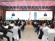 红杉中国周逵：潮流也是一种文化，蕴含着投资机会