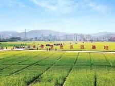 来稿 | 侨乡·善治④潮阳溪西欧：“驻”力“百千万工程”  激活内生发展动力