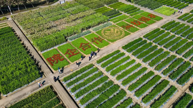 广东种业博览会地展现场