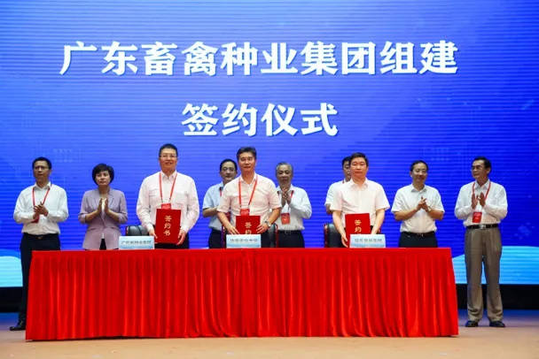 2021年初，广东省畜禽种业集团签约组建。