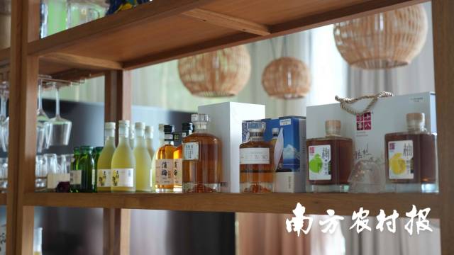 在陈国坚的民宿货架上,摆满了从化特色农产品。 在陈国坚的民宿货架上,摆满了从化特色农产品。