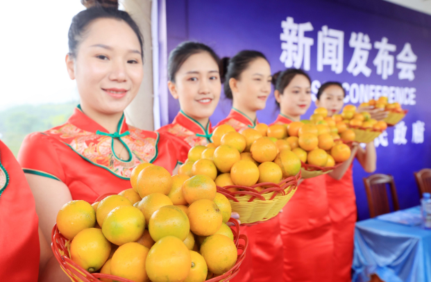 11月8日，2024年柳州市第七届文旅产业发展大会暨粤桂协作融安金桔（深圳）推介活动开展。