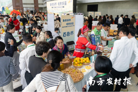 广西白色田阳特色农货热销湾区。