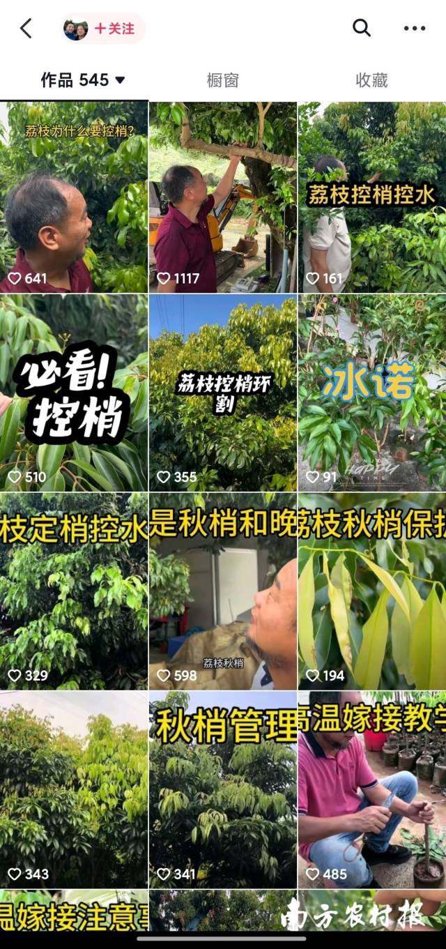 黄文杰父子二人抖音视频首页部分内容