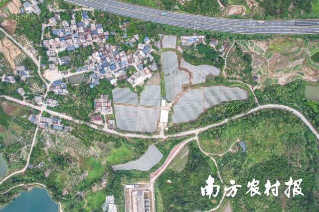 瑶华圃葡萄采摘园航拍图。 瑶华圃葡萄采摘园航拍图。