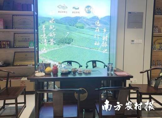 清远馆设置的茶叶体验区。 