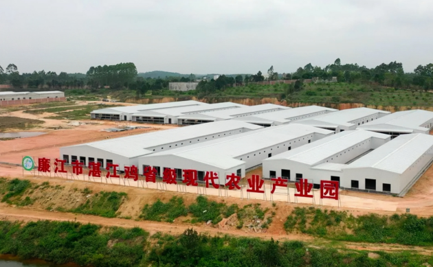 2022年，廉江成功申报湛江鸡省级现代农业产业园。