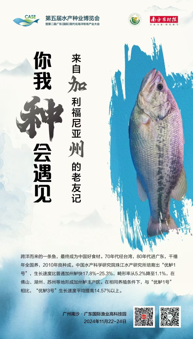 我国5G移动电话用户达5.61亿户