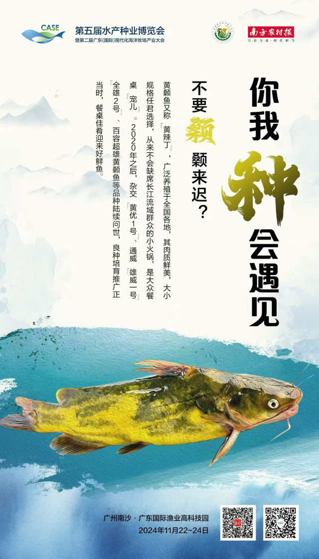老六爱找茬对酒当歌找出十种颜色攻略：详细步骤分享<