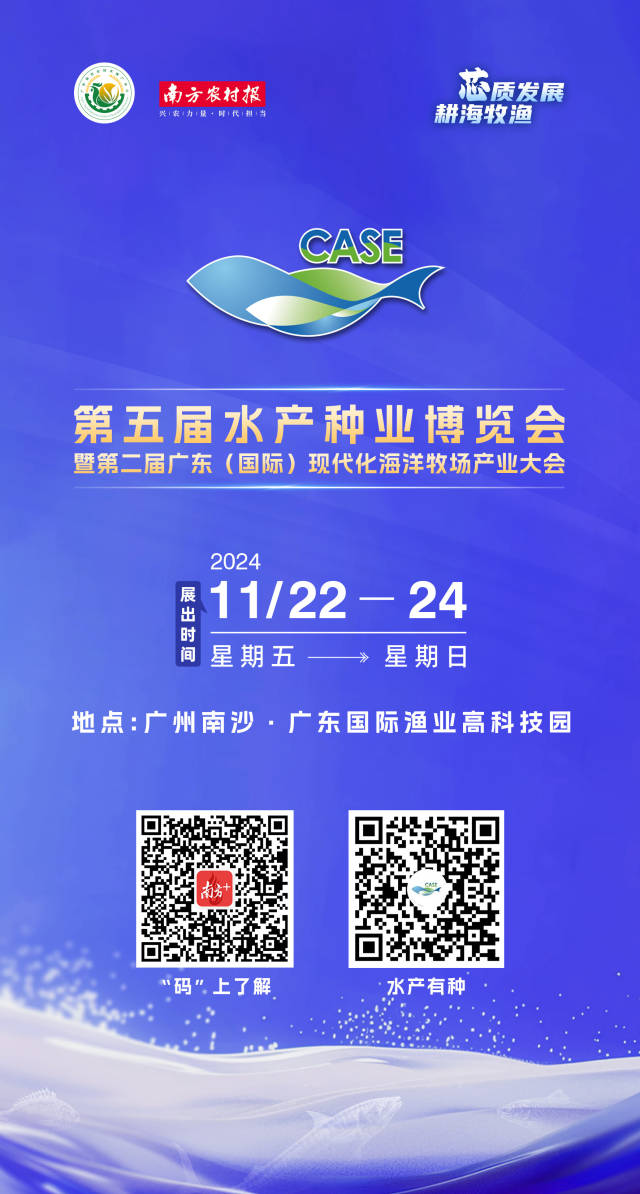 故事里的秘密双开可行性解析及实用软件推荐操作指南