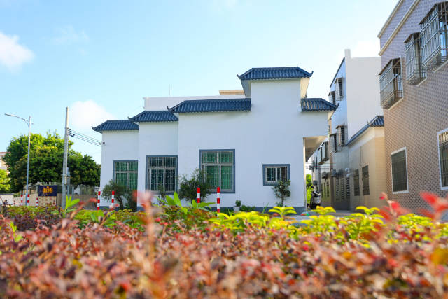 初冬的艳阳里，红海湾经济开发区田墘街道南联村景色美不胜收。