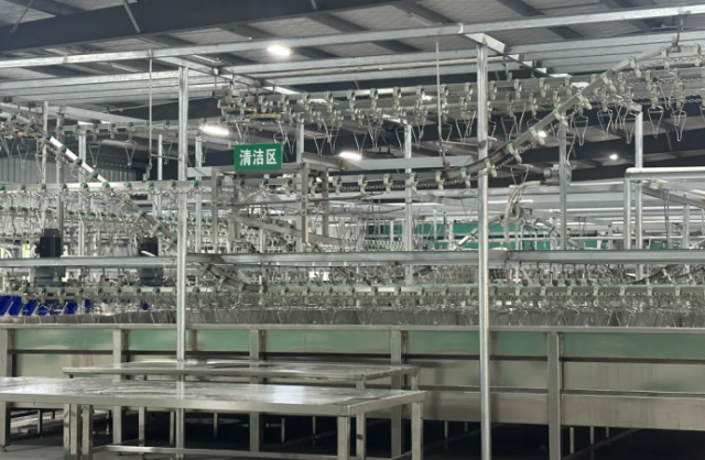 德鹏生态农业是粤西首家规模禽畜屠宰场。