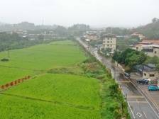 仲恺陈江幸福村：自我造血，蹚出强村兴业新路