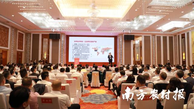 11月22日，2024廉商大会在廉江市举行。