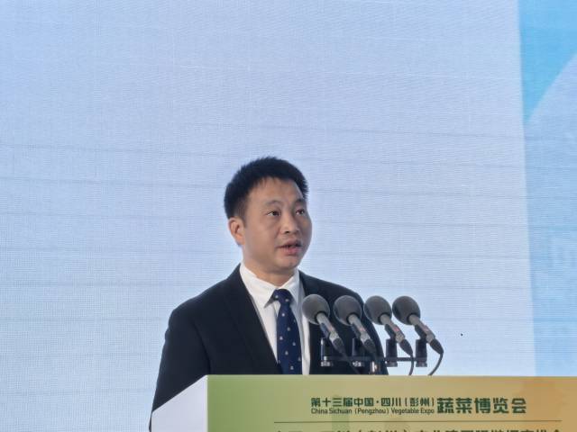 怀集县人民政府副县长黎泽初对“怀集味道”进行推介。