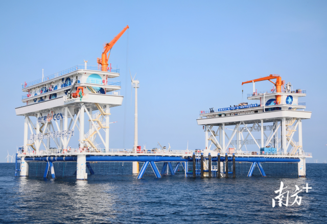 伏羲一号。陈保良摄