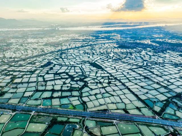 佛山市南海区万亩鱼塘