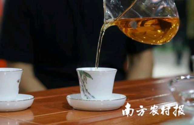 英德红茶