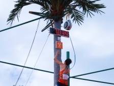 广东3位小伙全晋级！全国各地运动员齐聚三亚比赛爬椰子树