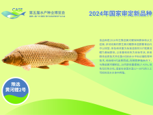 23个新品种在水产种博会正式发布，两大产业分别迎来首个新品种丨水产有种