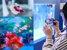 种业创新结硕果，耕海牧渔谱新篇！全国水产种业第一展开幕