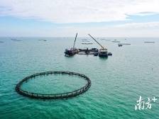 建设海洋牧场：广东从跟跑到领跑