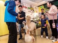 生活“提质”幸福“加码”，南山这个亲子活动超治愈