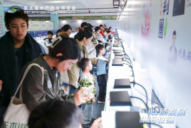 图集｜鱼我相约，老少皆爱