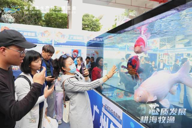 图集｜鱼我相约，老少皆爱