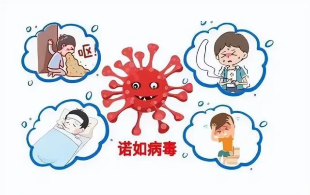 诺如病毒感染高发季,如何做好防控?