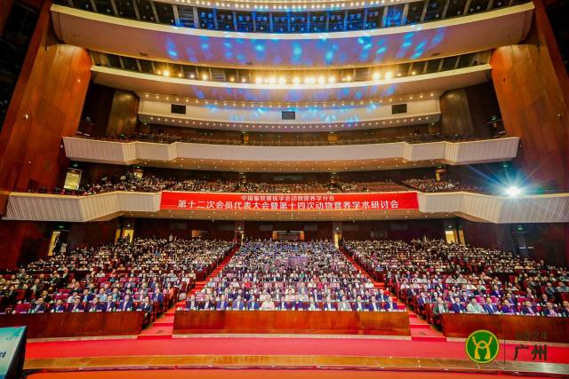 大会开幕式现场  受访者供图