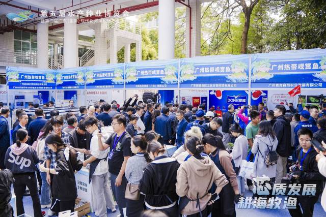 图集｜鱼我相约，老少皆爱