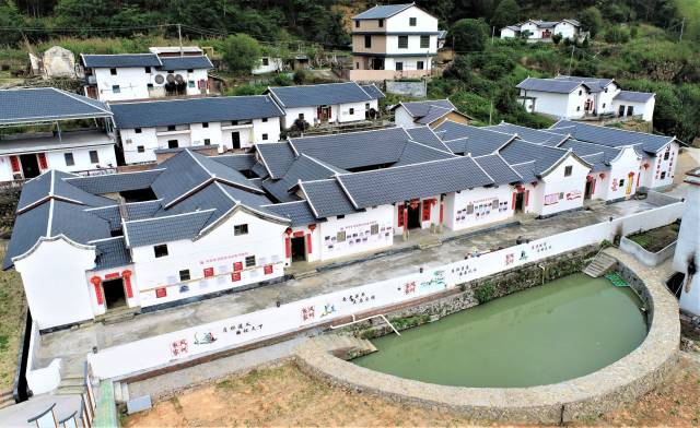 平远县八尺镇排下村农房风貌，灰瓦白墙、精致墙绘展现农房风貌提升成果。