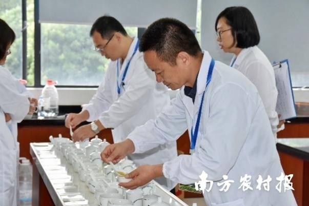 专家评鉴现场。