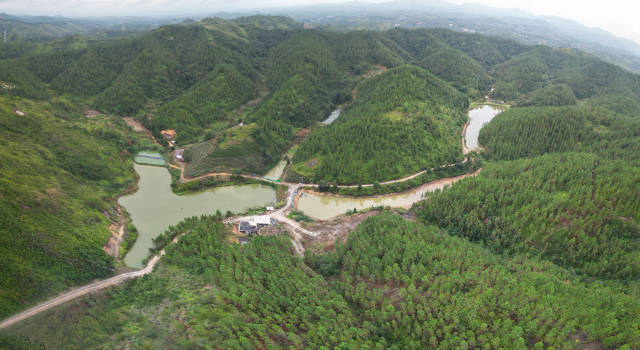 狮潭村养殖户李日和在兰鱼村承租了7个鱼塘。