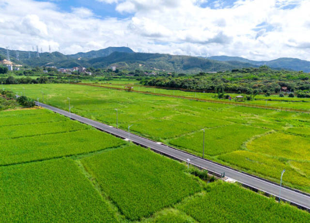 大亞灣開發(fā)區(qū)霞涌文旅田園路。