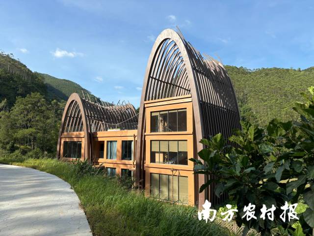 大榭村里新建的民宿