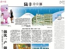 做优一产 做大二产 做强三产｜速览《南方日报·陆丰视窗》第74期