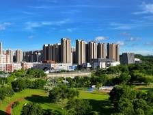 深圳坪山街道：激活新质引擎 发展提能升级｜奋进百千万 聚力新突破