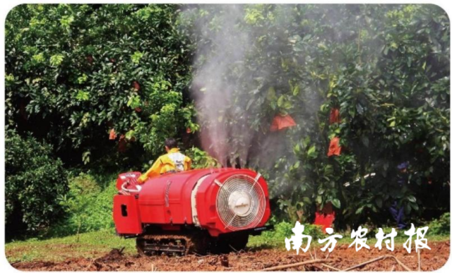 自走风送式果园喷雾机