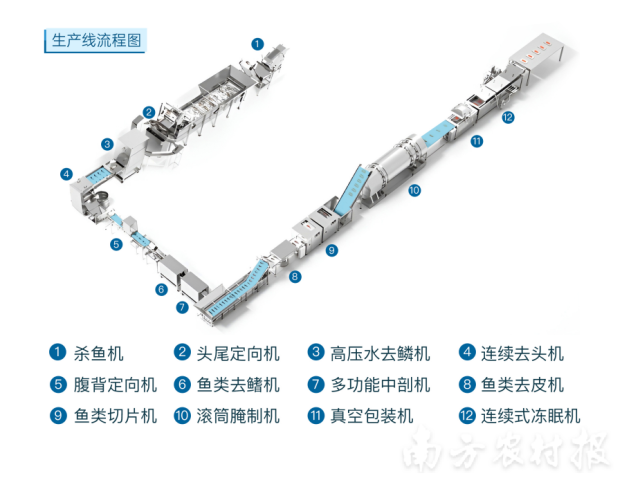 鱼加工生产线 