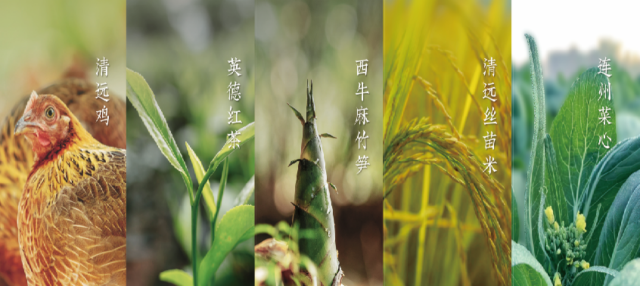 清远五大百亿农业产业产品。