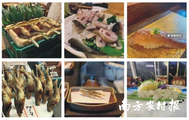 各种香鱼菜肴。