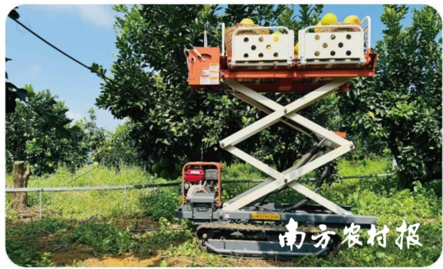 履带自走式果园作业平台