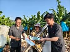 恩平法院：主动靠前服务，芭蕉树下普法忙