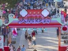 何以唐家湾？古镇活化续写百年风华｜建功百千万，珠海出实效