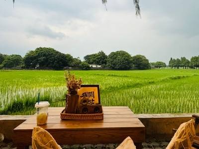 中山市委书记：“侨乡+音乐”双IP激活美丽经济丨市委书记抓乡村振兴2025年度盘点