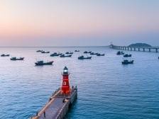 “百千万工程”的南山实践：内外兼修，“共享丰收”| 奋进百千万 聚力新突破