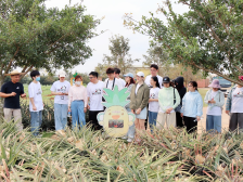 深圳青年：赴田间地头解乡亲难题，到县镇村寨书青春担当| 奋进百千万 聚力新突破