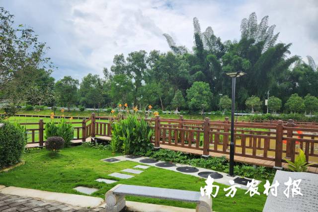 基金会积极开展“美丽家园-农村污水治理”项目，助力广东农村人居环境整治提升。